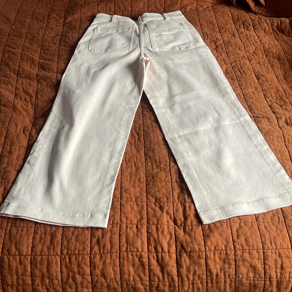 Everlane The Wide Leg Crop- Very Light Pink - Picture 6 of 10